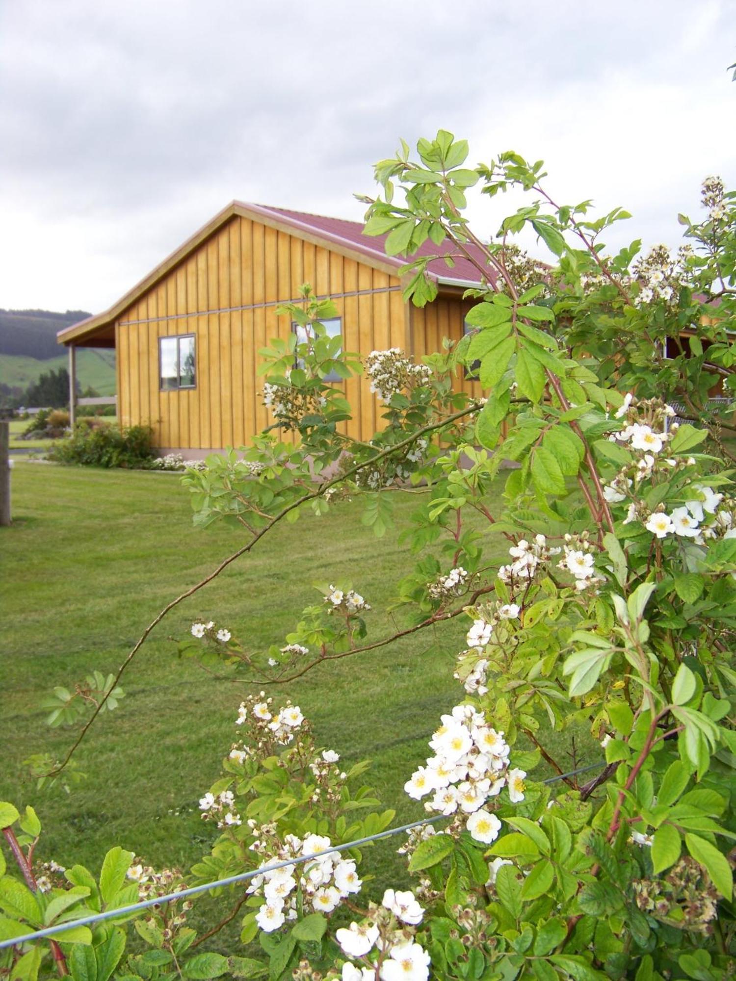 Longbourne Lodge Motel Mosgiel Esterno foto