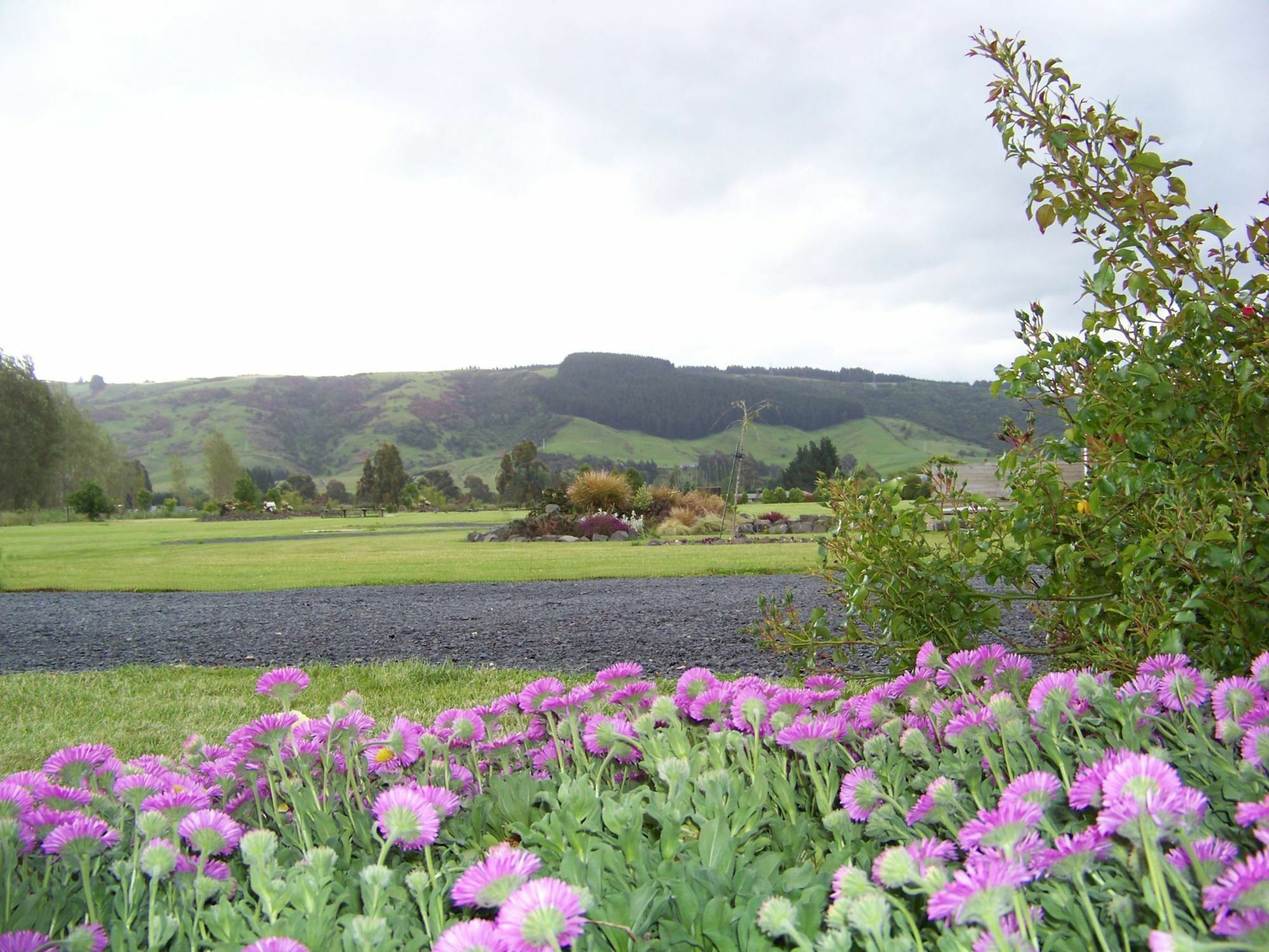 Longbourne Lodge Motel Mosgiel Esterno foto