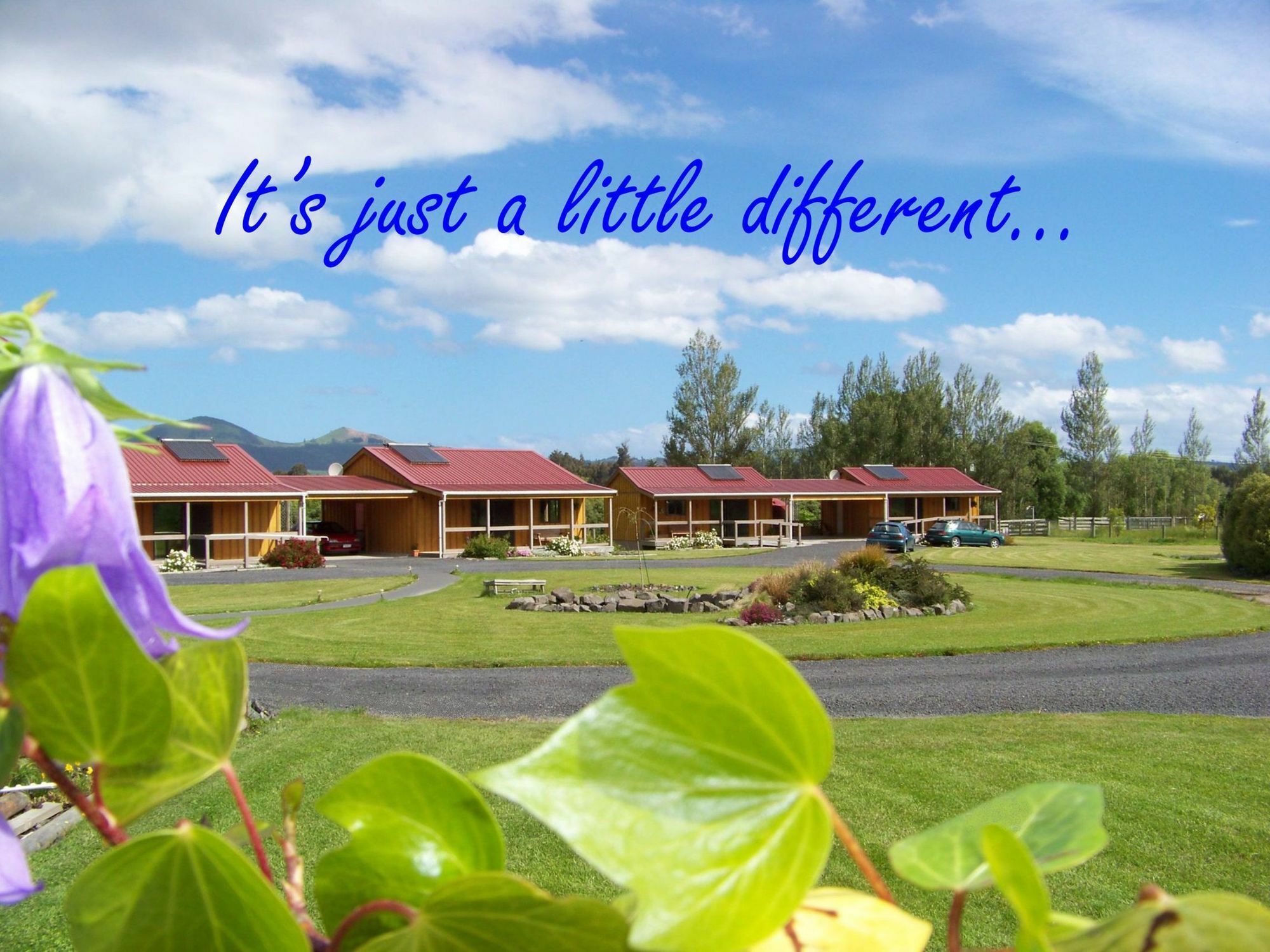 Longbourne Lodge Motel Mosgiel Esterno foto